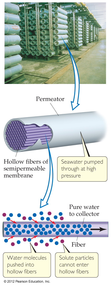 Reverse Osmosis