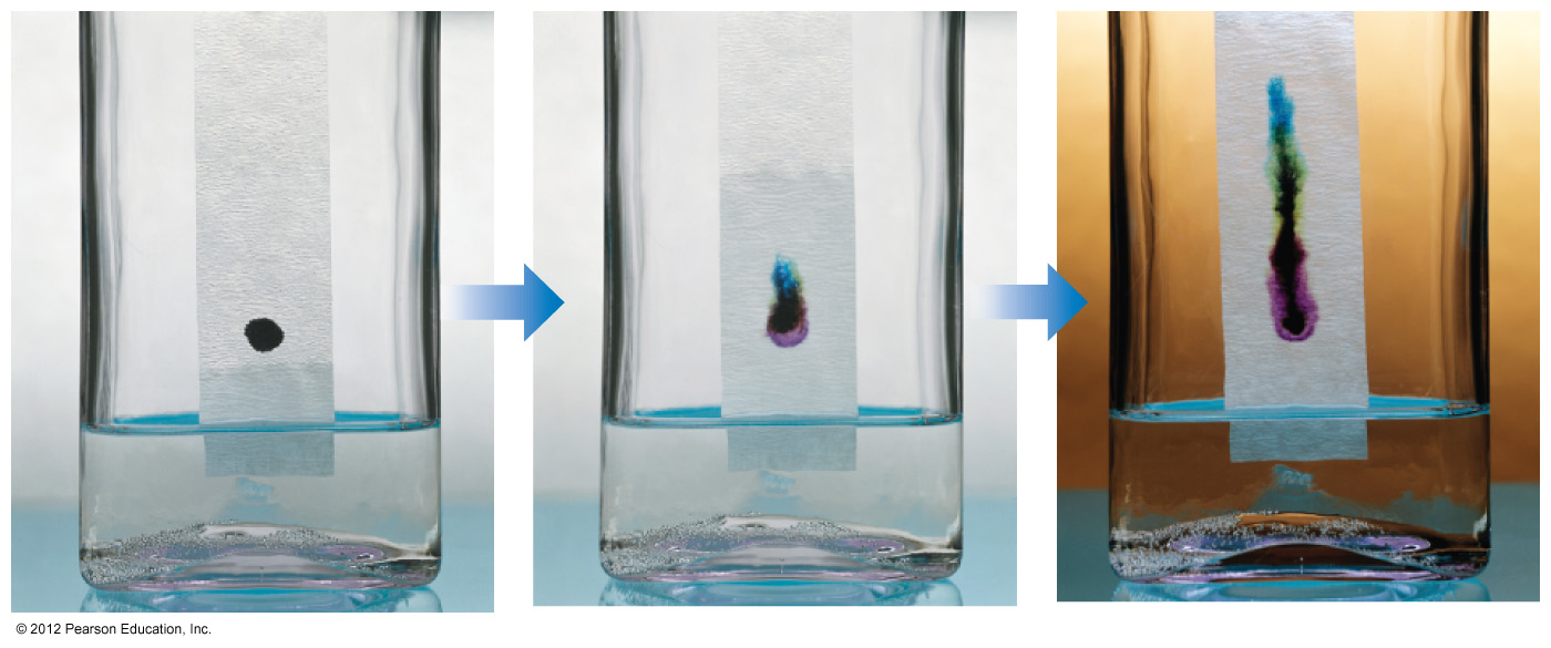 Chromatography